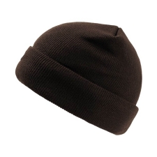 Normal Beanie (Pier Thinsulate 8043)